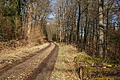 DSC06774 - Bernhard Saalfeld