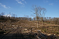 DSC06775 - Bernhard Saalfeld
