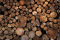 DSC06776 - Bernhard Saalfeld