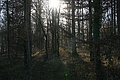 DSC06782 - Bernhard Saalfeld
