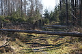 DSC06792 - Bernhard Saalfeld
