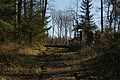 DSC06797 - Bernhard Saalfeld