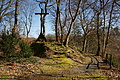 DSC06802 - Bernhard Saalfeld