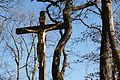 DSC06803 - Bernhard Saalfeld