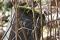 DSC06820 - Bernhard Saalfeld