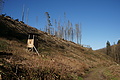 DSC06821 - Bernhard Saalfeld