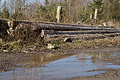 DSC06823 - Bernhard Saalfeld