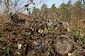 DSC06825 - Bernhard Saalfeld
