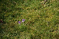 DSC06826 - Bernhard Saalfeld