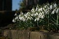 DSC06831 - Bernhard Saalfeld
