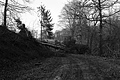 L1002305 - Bernhard Saalfeld