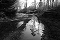 L1002311 - Bernhard Saalfeld