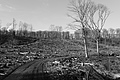 L1002313 - Bernhard Saalfeld