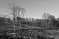 L1002315 - Bernhard Saalfeld