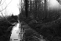 L1002317 - Bernhard Saalfeld