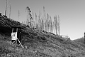 L1002325 - Bernhard Saalfeld