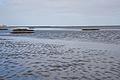 DSC02699 - Bernhard Saalfeld