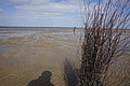 DSC02720 - Bernhard Saalfeld