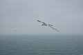 DSC02833 - Bernhard Saalfeld