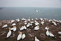DSC02844 - Bernhard Saalfeld