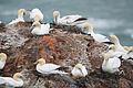 DSC02892 - Bernhard Saalfeld