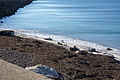DSC03009 - Bernhard Saalfeld
