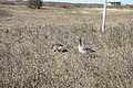 DSC03062 - Bernhard Saalfeld