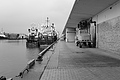L1000612 - Bernhard Saalfeld