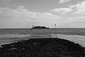 L1000644 - Bernhard Saalfeld