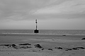 L1000773 - Bernhard Saalfeld