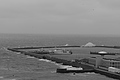 L1000792 - Bernhard Saalfeld