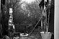 L1000815 - Bernhard Saalfeld