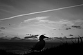 L1000869 - Bernhard Saalfeld