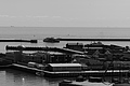 L1000949 - Bernhard Saalfeld