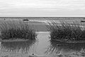 L1003980 - Bernhard Saalfeld