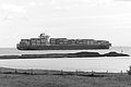 L1003990 - Bernhard Saalfeld
