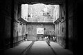 L1004014 - Bernhard Saalfeld