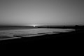 L1004060 - Bernhard Saalfeld