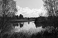 L1004092 - Bernhard Saalfeld