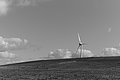 L1004107 - Bernhard Saalfeld