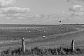 L1004113 - Bernhard Saalfeld