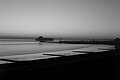 L1004134 - Bernhard Saalfeld