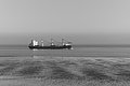 L1004144 - Bernhard Saalfeld