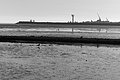 L1004145 - Bernhard Saalfeld