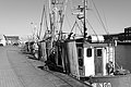 L1004180 - Bernhard Saalfeld