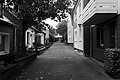 L1004257 - Bernhard Saalfeld