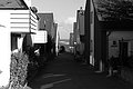 L1004275 - Bernhard Saalfeld