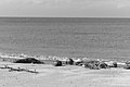 L1004406 - Bernhard Saalfeld