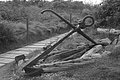 L1004444 - Bernhard Saalfeld
