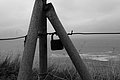 L1004453 - Bernhard Saalfeld
